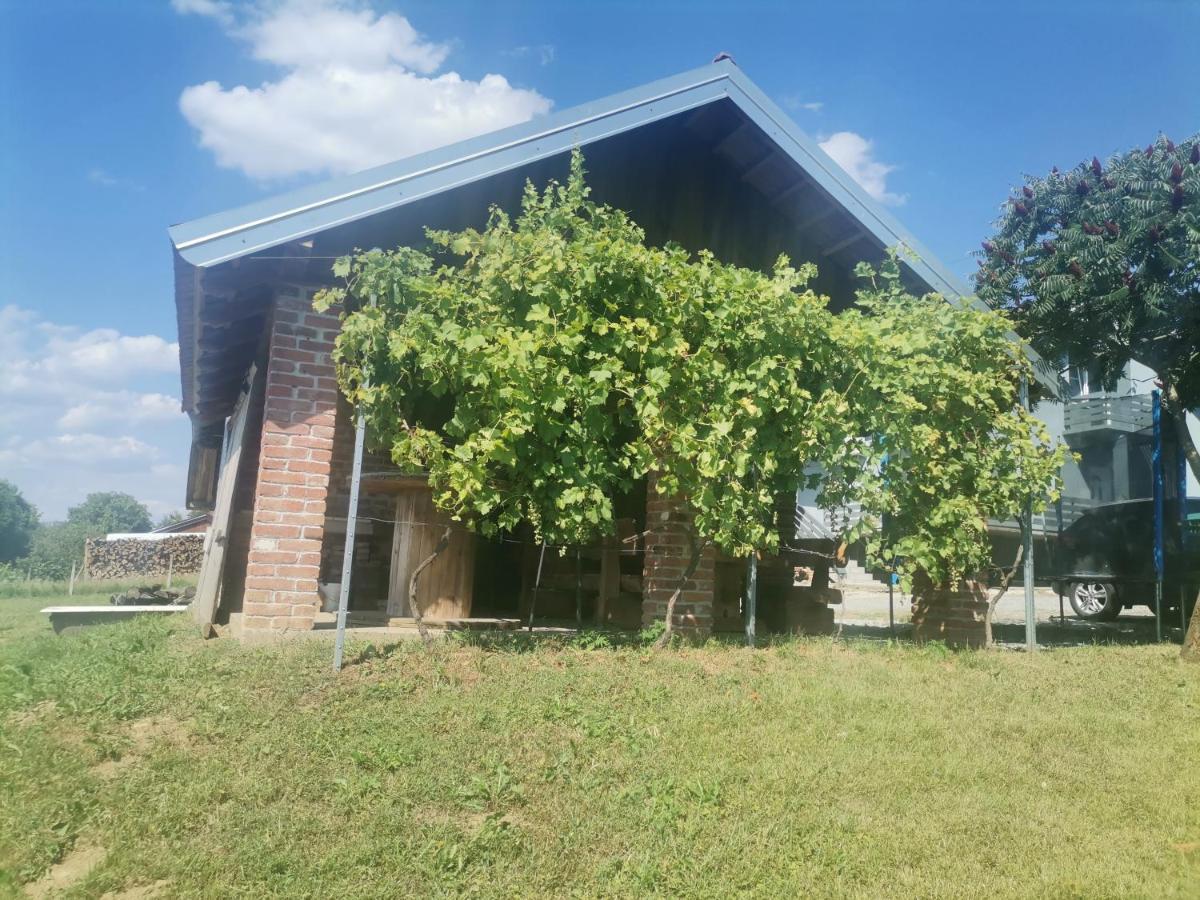 Apartman Sipa Bjelovar Extérieur photo